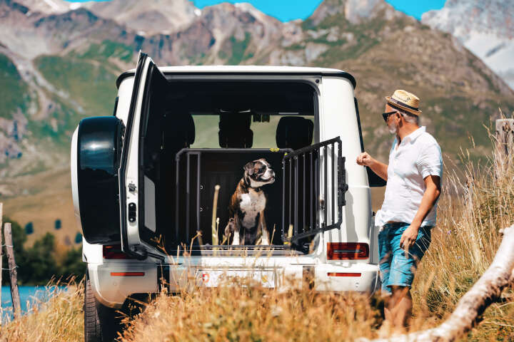 4pets Hundetransportbox Pro Noir